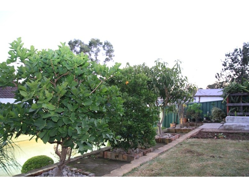 74 Strickland Cres, Ashcroft NSW 2168