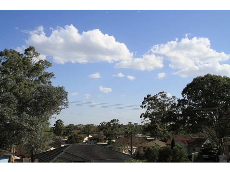 19 Albany Street, Busby NSW 2168