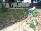 Smithfield NSW 2164