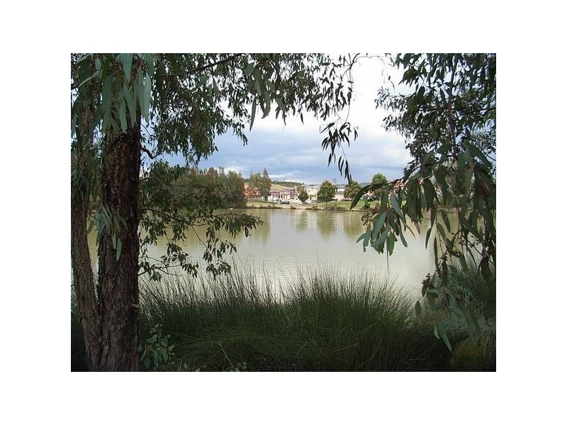 Cecil Hills NSW 2171
