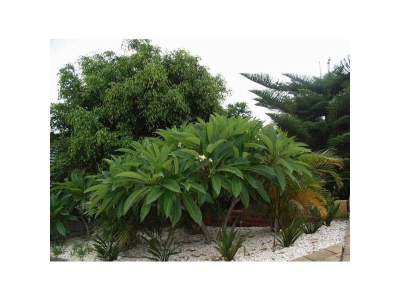 Mount Pritchard NSW 2170