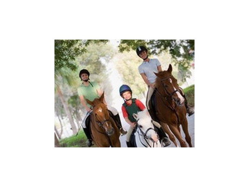 Horsley Park NSW 2175