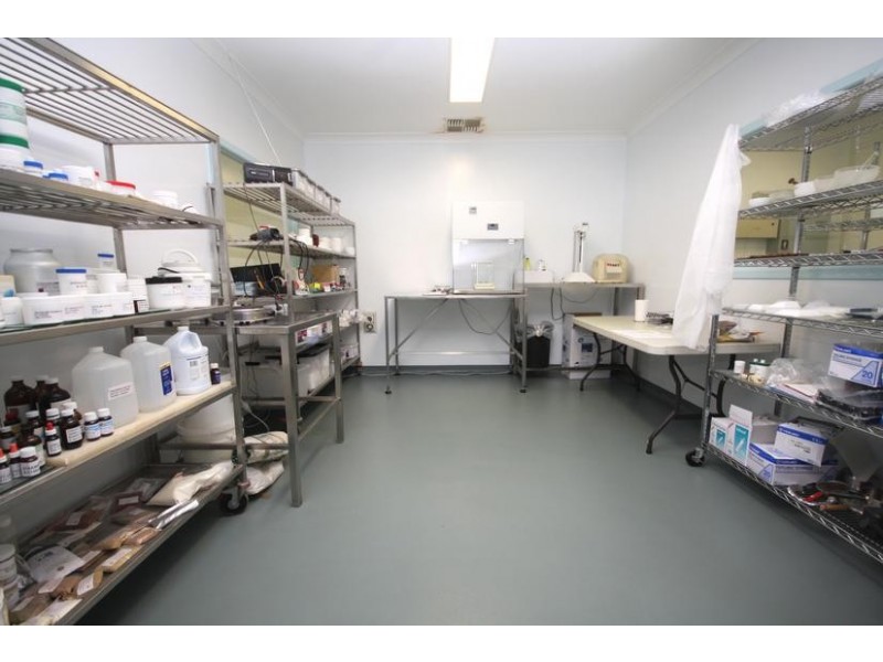 24 Fremantle Street, Burleigh Heads QLD 4220