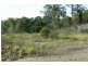 Lot 116, 0 Norbury Road, Kingsholme QLD 4208