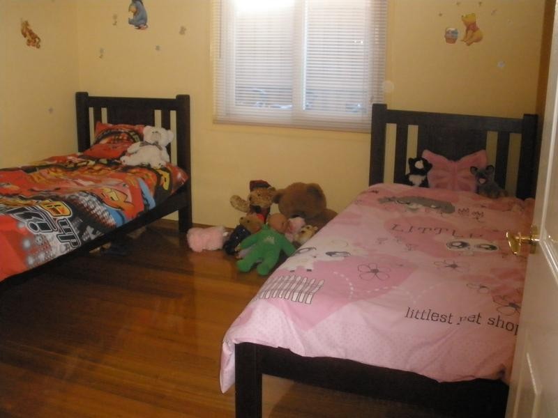 11 Swamphen Street, Erskine Park NSW 2759