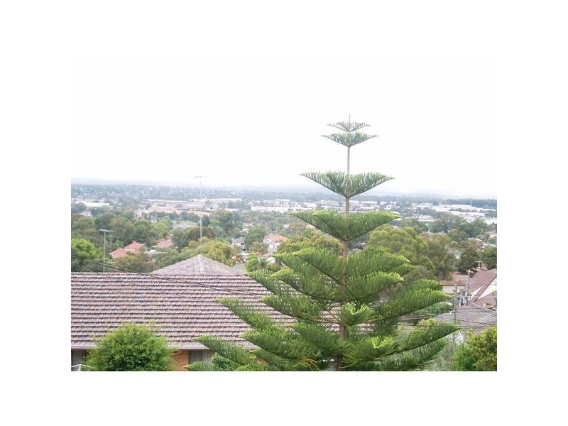 Condell Park NSW 2200