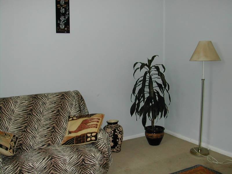 149 Wentworth Street, Port Kembla NSW 2505