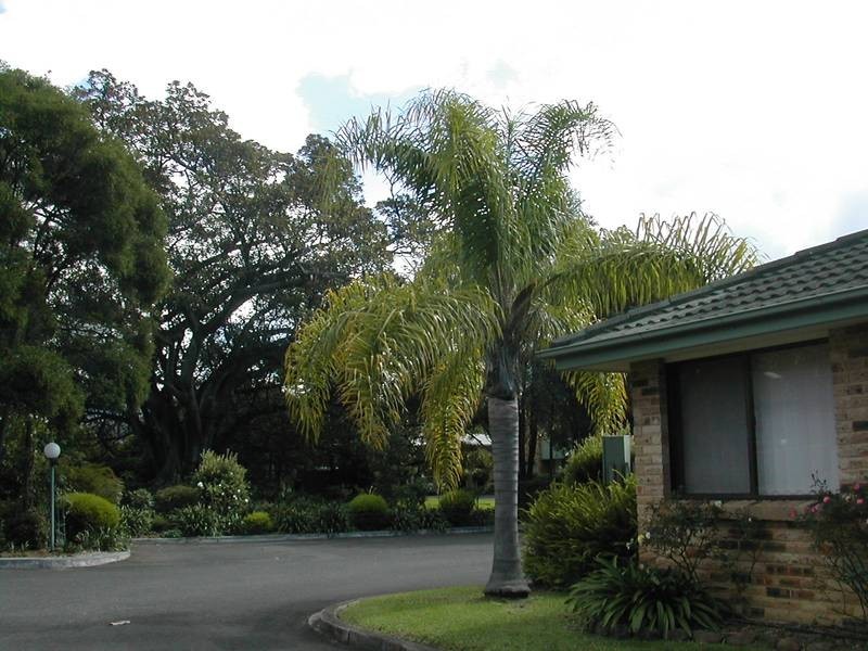 15/15-22 Gibsons Rd, Figtree NSW 2525