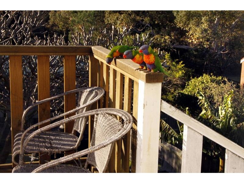 45 Popes Road, Woonona NSW 2517