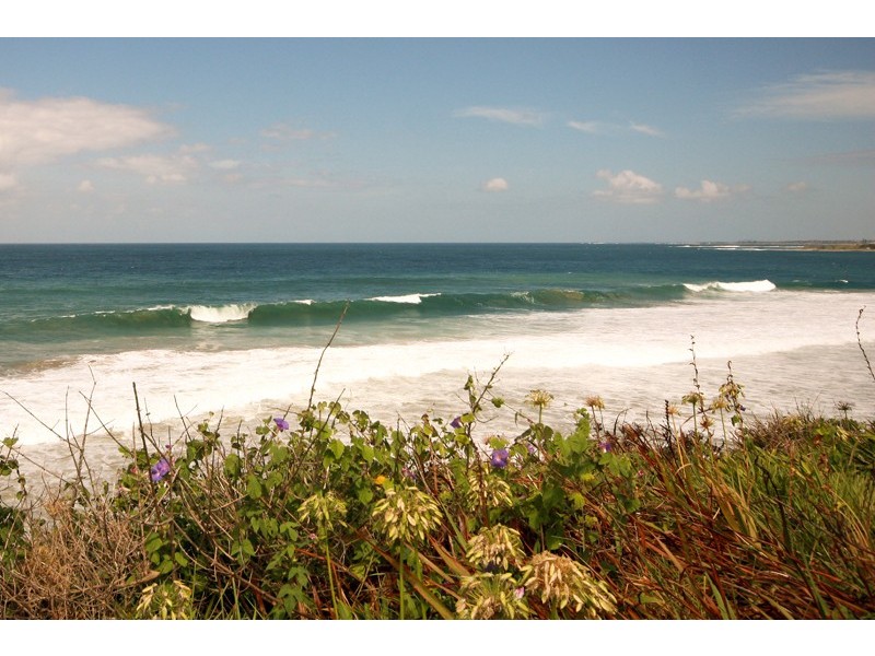 179 Lawrence Hargrave Drive, Thirroul NSW 2515