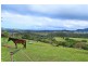196 O’Briens Road, Figtree NSW 2525