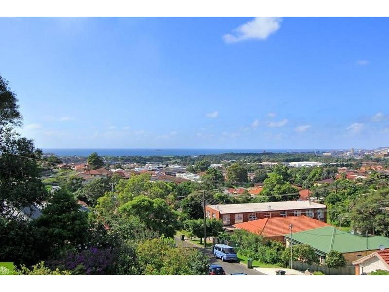 1/24a McKenzie Avenue, Wollongong NSW 2500