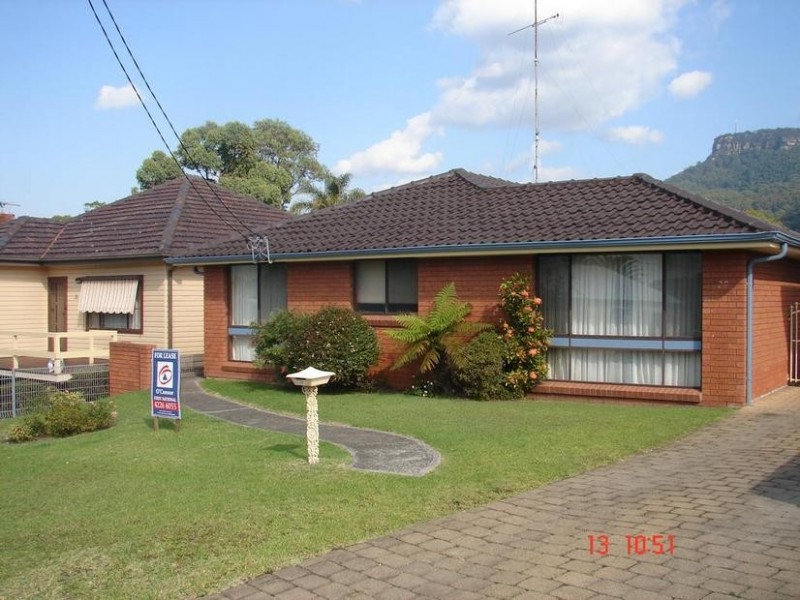 29 Wilga Street, Corrimal NSW 2518