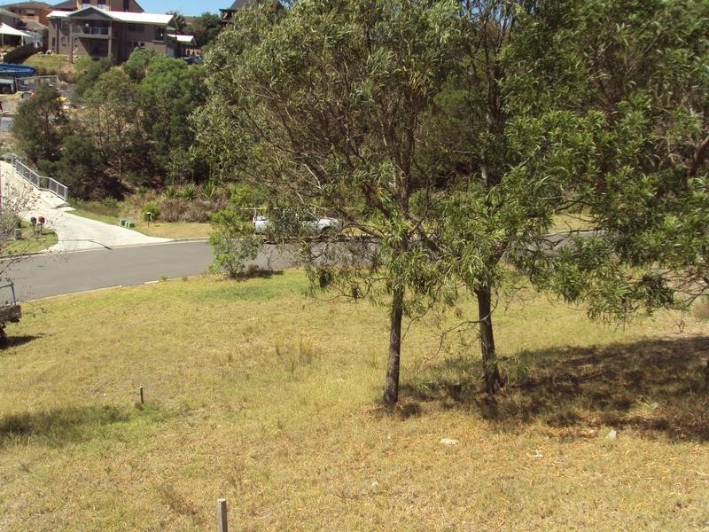 40 Terrie Ave, Figtree NSW 2525