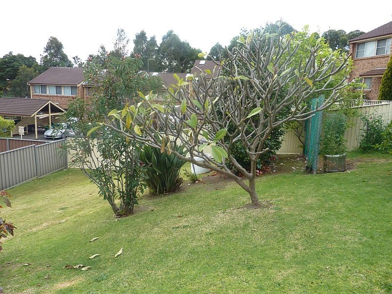 7 William Street, Keiraville NSW 2500