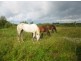 Lot 1 & 10 Cleveland Road, Dapto NSW 2530
