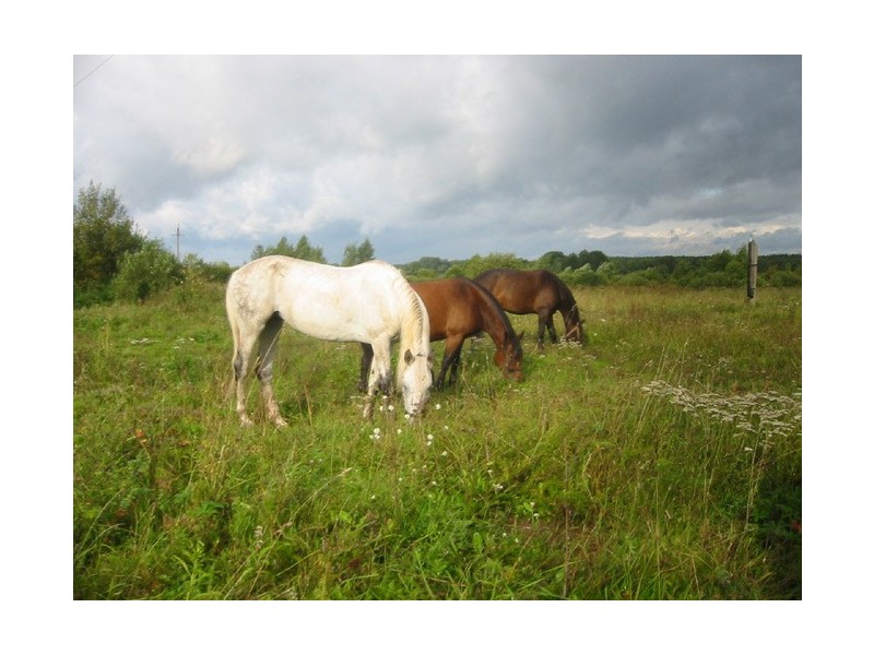 Lot 1 & 10 Cleveland Road, Dapto NSW 2530
