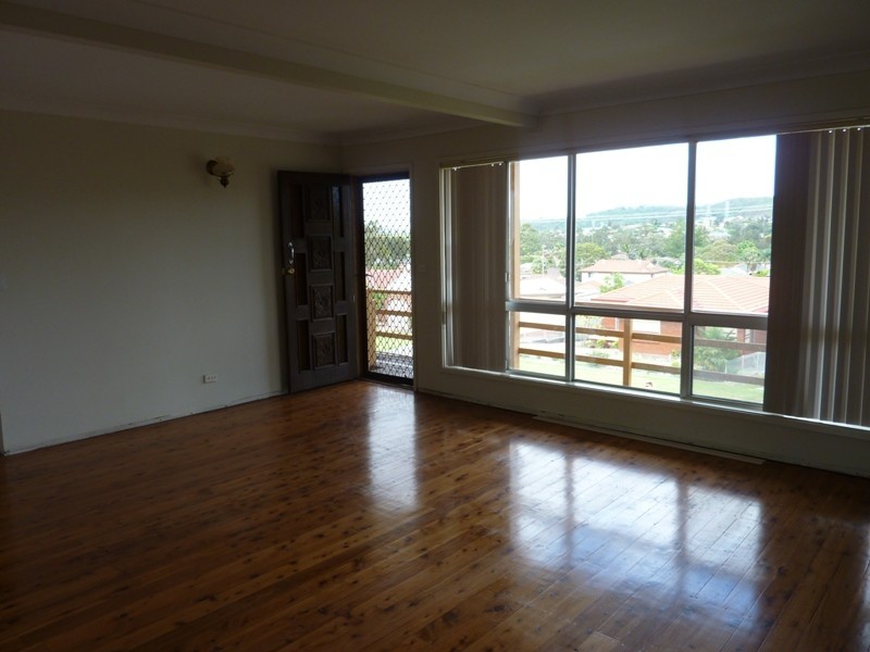 48 Morse Avenue, Kanahooka NSW 2530