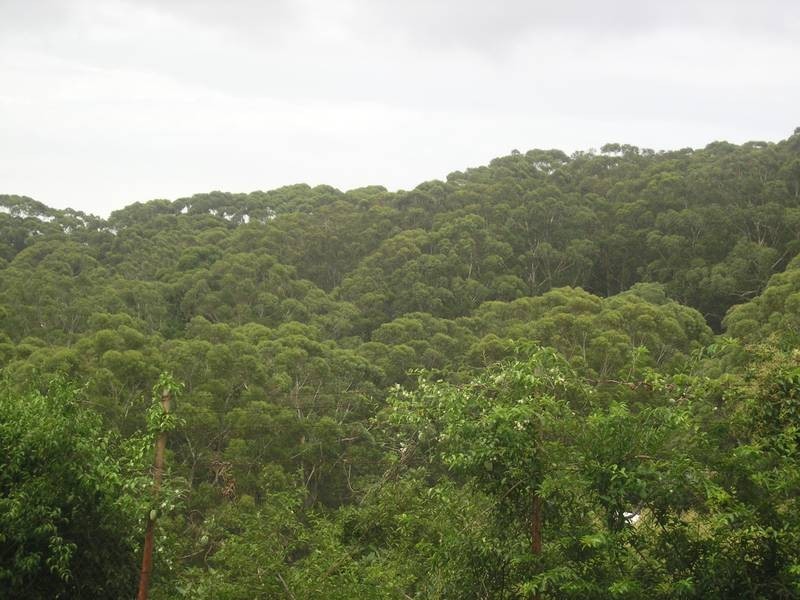 50 New Mount Pleasant Road, Balgownie NSW 2519