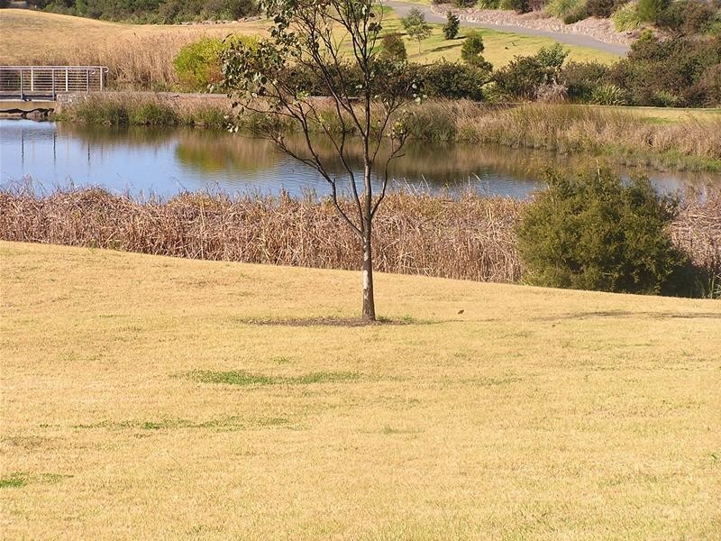 21 Monkhouse Parade, Shell Cove NSW 2529