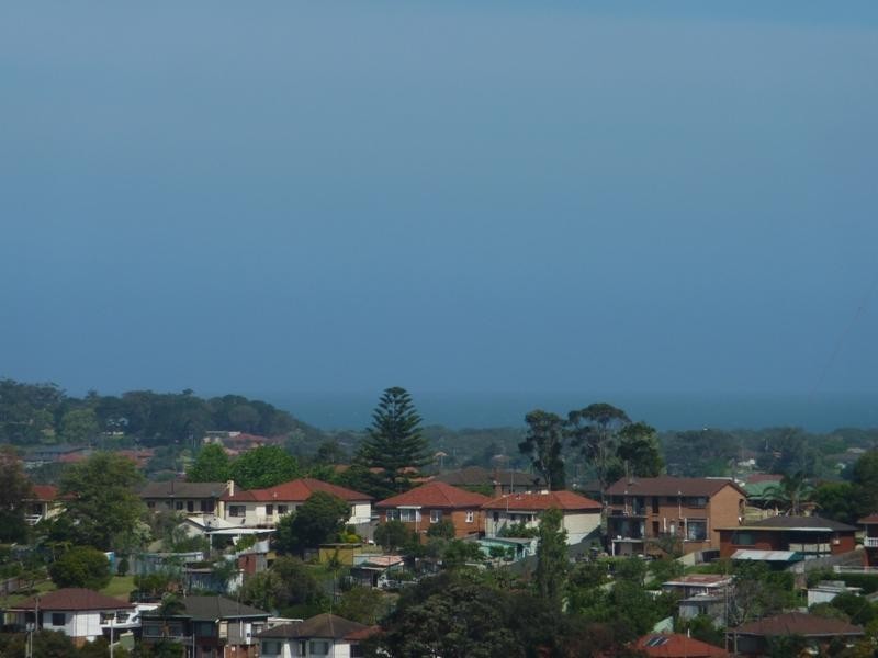 20 Lake Heights Road, Lake Heights NSW 2502