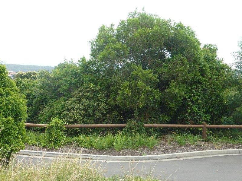 Lot 5234, 18 Bedarra Court, Shell Cove NSW 2529