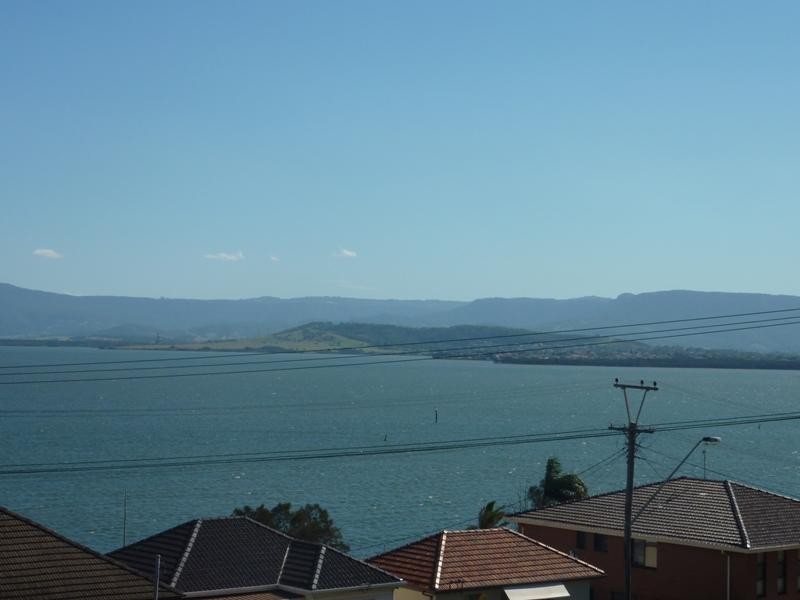 55 Buena Vista Avenue, Lake Heights NSW 2502