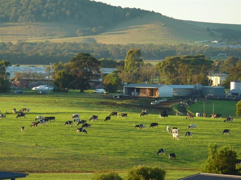 27 Larkins Lane, Yallah NSW 2530