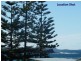 43 Wollongong Street, Shellharbour NSW 2529
