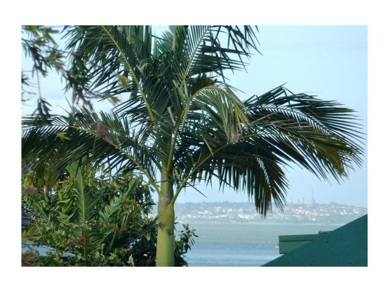 28 Horsley Road, Oak Flats NSW 2529