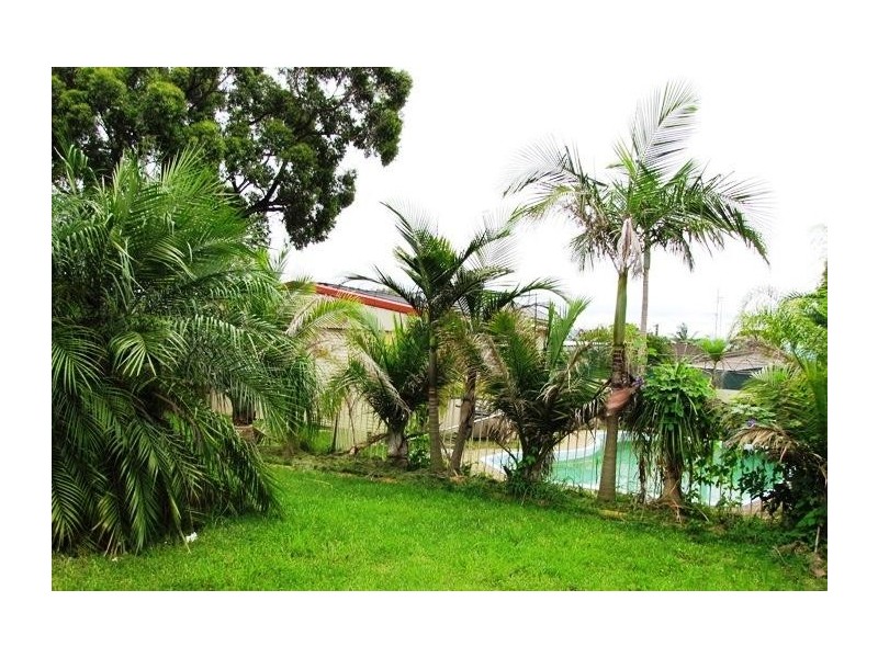 98 Wentworth Street, Oak Flats NSW 2529