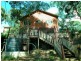 126 Iola Avenue, Farmborough Heights NSW 2526