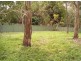 126 Iola Avenue, Farmborough Heights NSW 2526
