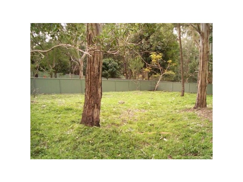 126 Iola Avenue, Farmborough Heights NSW 2526