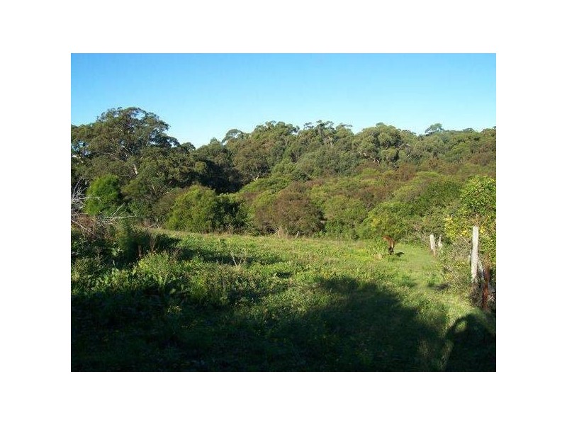 Whitebridge NSW 2290