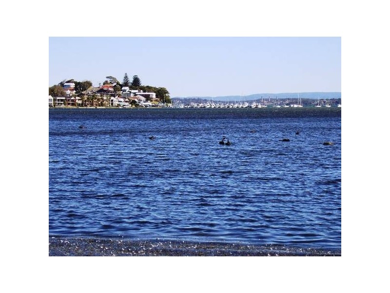 New Street, Belmont South NSW 2280