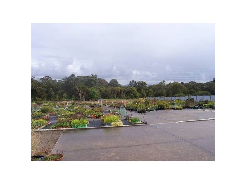 Mount Hutton NSW 2290