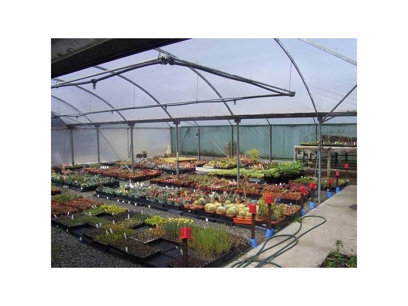 Mount Hutton NSW 2290