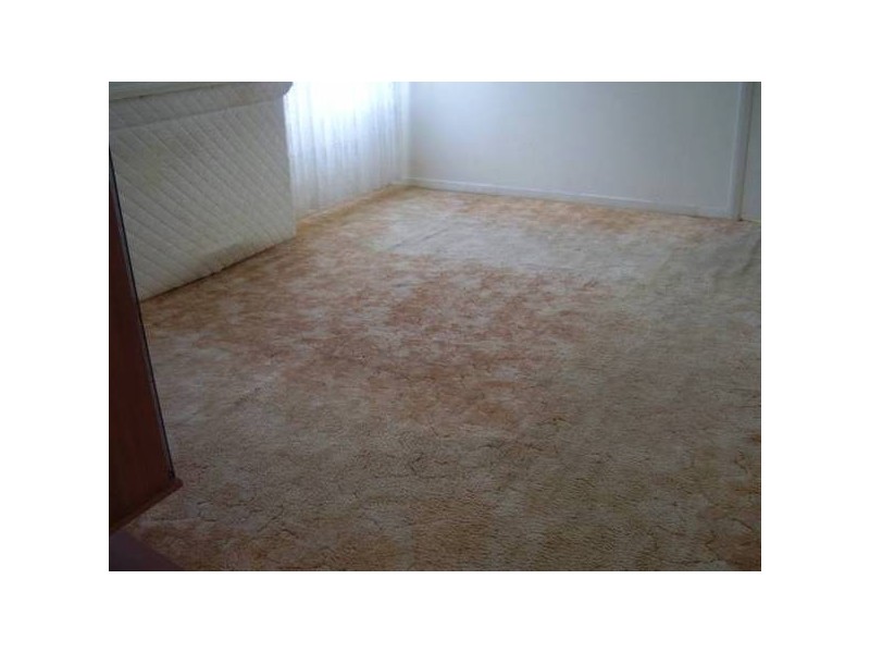 31 Pearce Street, Belmont NSW 2280