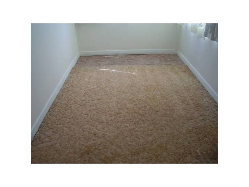 31 Pearce Street, Belmont NSW 2280