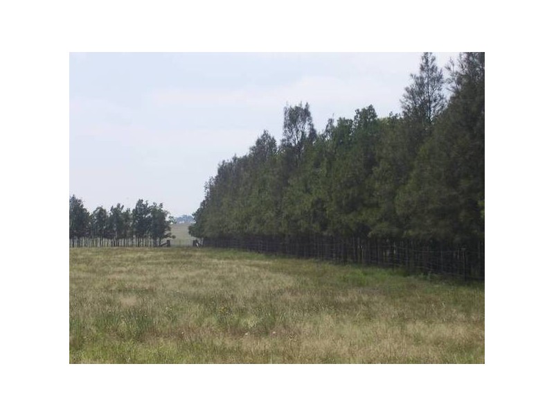 103 Anambah Road, Rutherford NSW 2320