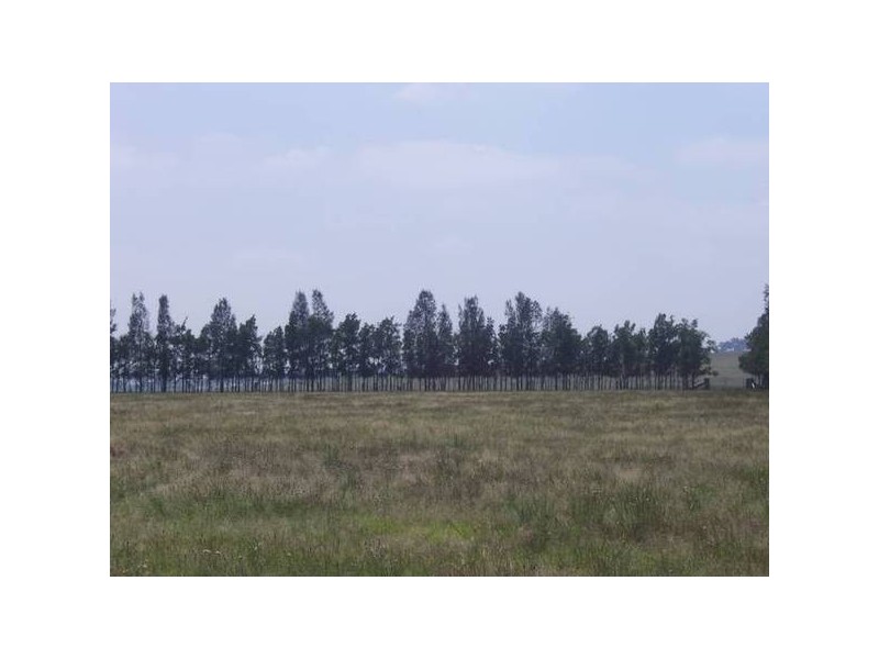 109 Anambah Road, Rutherford NSW 2320