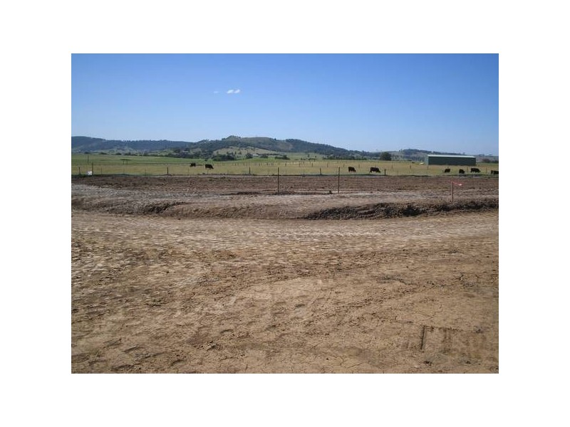 115 Anambah Road, Rutherford NSW 2320