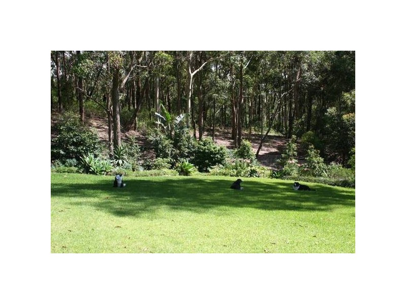 Mount Hutton NSW 2290