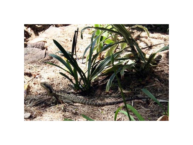 Mount Hutton NSW 2290