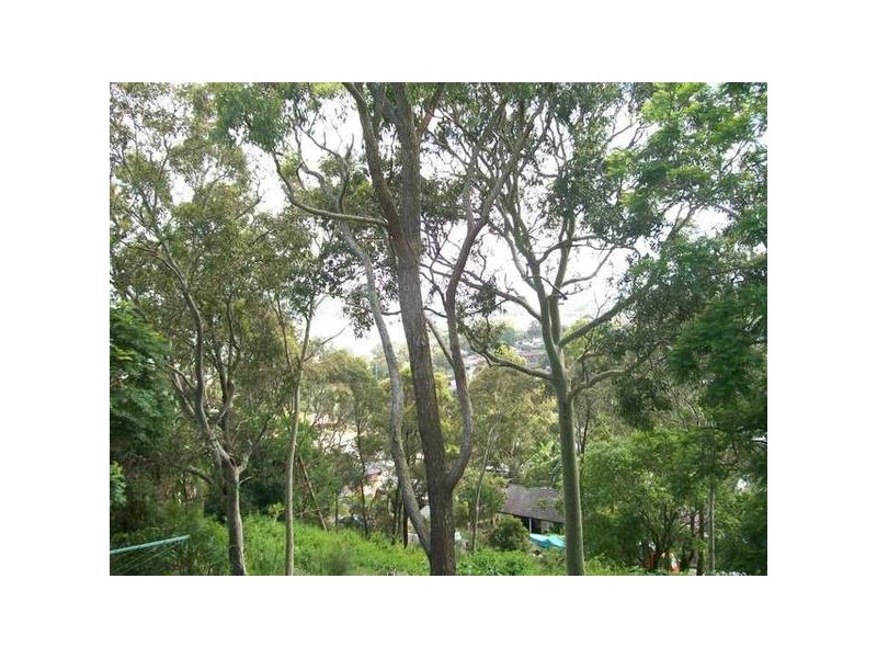 56 Croft Road, Eleebana NSW 2282