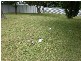 Cardiff NSW 2285