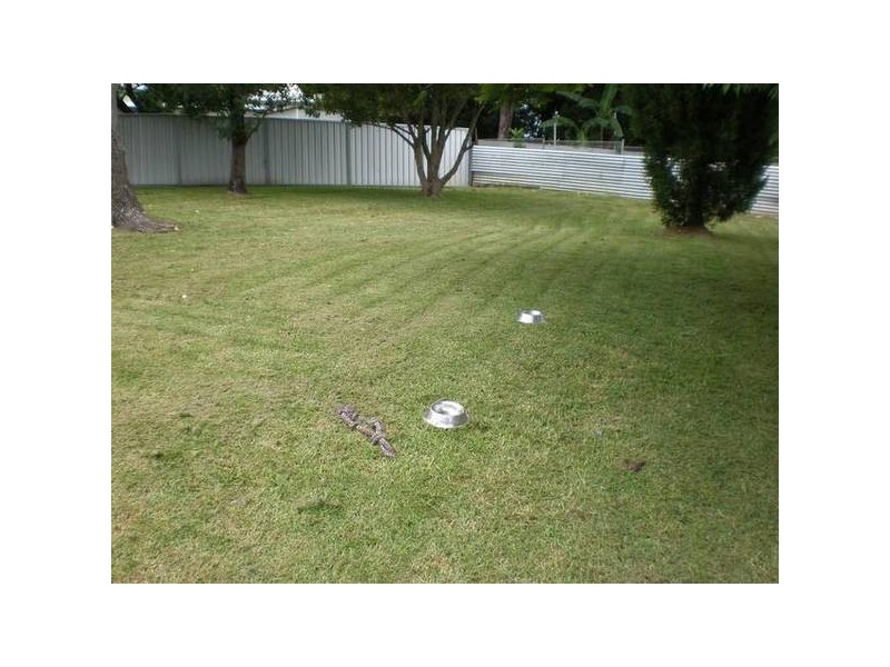 Cardiff NSW 2285