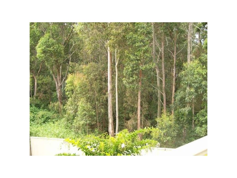 Belmont NSW 2280