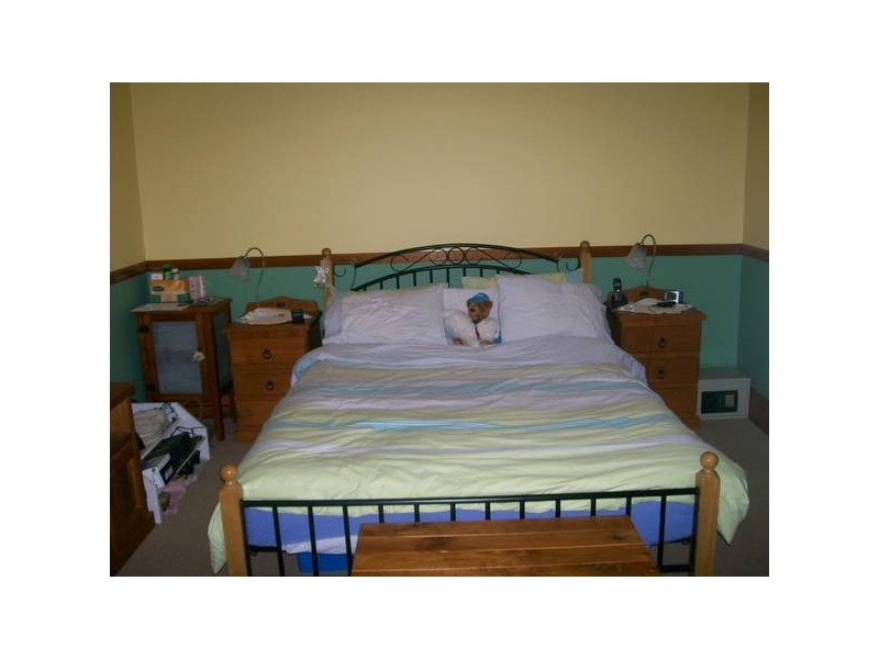 Cardiff South NSW 2285